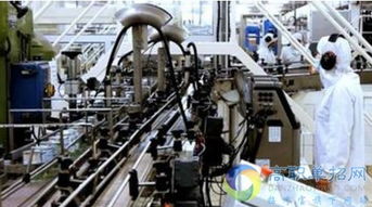 煙臺(tái)職業(yè)學(xué)院單招熱門專業(yè)解析與信息系統(tǒng)運(yùn)行維護(hù)服務(wù)專業(yè)前景展望